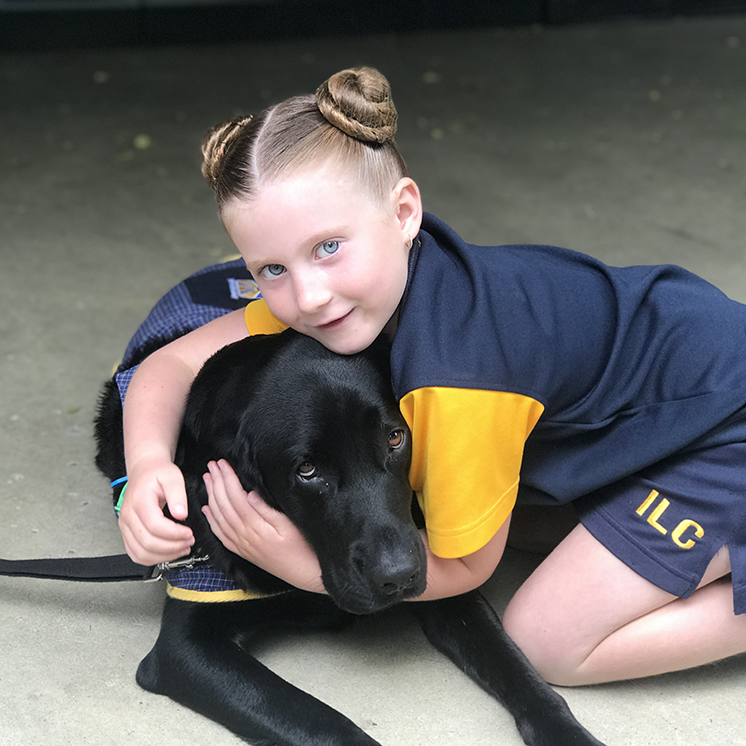 Our Therapy Dog at ILC Buderim